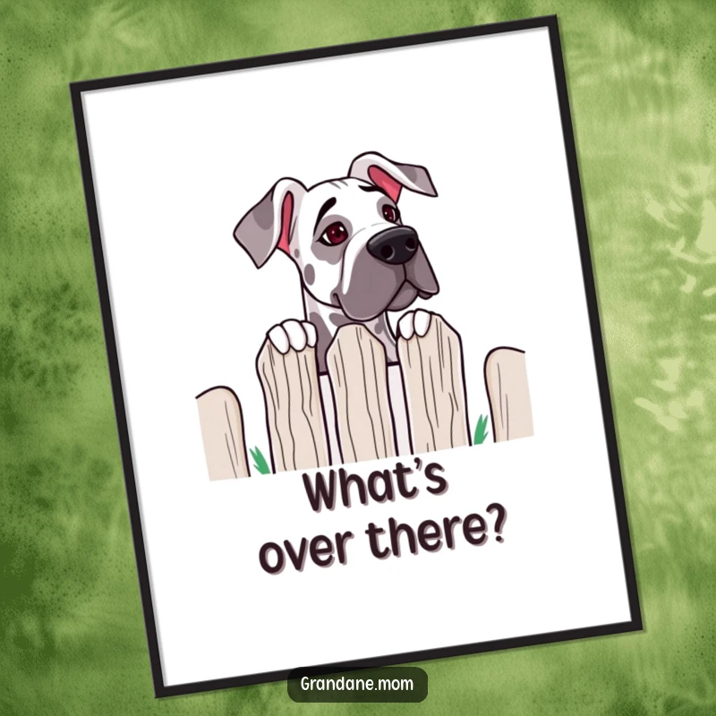 Funny Grand Dane Fence Peek Poster: a large dog peeks over a fence; adds humorous curiosity to any wall decor.